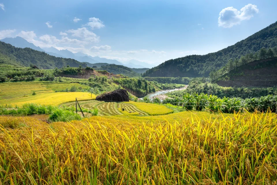 Kho gạo xếp bao